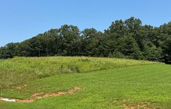 Duck Pond, Appomattox, VA 24522