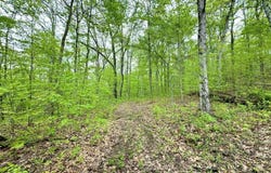 WIlls Hill Road, Pomeroy, OH 45769