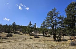 337 Rancho La Garita, Weston, CO 81091