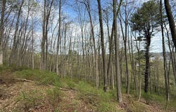 Holly St, Galax, VA 24333