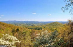 346 Walnut, Ellijay, GA 30536