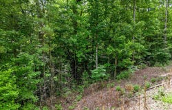 0 Bowater Pass, Fountain Inn, SC 29644