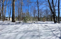 Mallard Trail lot: 41&42, Gaylord, MI 49735