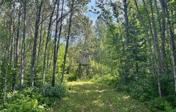 1961 Town Road 118, Birchdale, MN 56629
