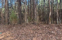 Bodcaw, AR 71858