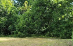 706 Nelson Street, Sumter, SC 29150