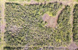 GLENWOOD RD, Volcano, HI 96785