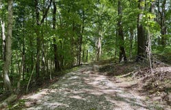 off SR 66, Grandview, IN 47615