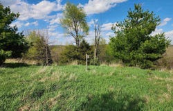 376 E TOWNHALL Road, Metamora, IL 61548