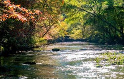 BLUEGRASS Ln, Jasper, AL 35503