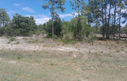 2211 SE STATE ROAD 121, MORRISTON, FL 32668