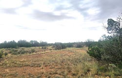 5075 Sidlyn Road, Heber, AZ 85928