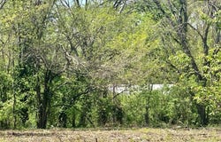 2 Potosi Street, Farmington, MO 63640
