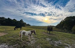 16780 Cub Run Highway, Cub Run, KY 42729