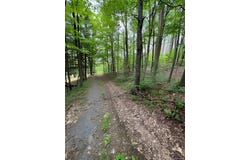 Gardner Drive, Port Jervis, NY 12771