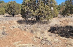 10 Mule Shoe Road, Hanover, NM 88041