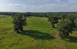 Cr 1778, Linden, TX 75563