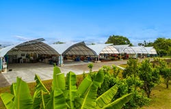 17-4150 HUINA RD, Kurtistown, HI 96760