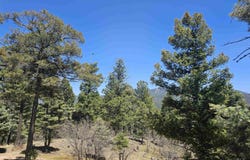 16 San Francisco Terrace, Angel Fire, NM 87710