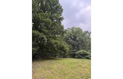 1720 Mountain View Rd, Locust Grove, AR 72550