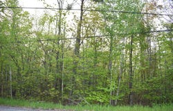 14236 Straitsview Drive, Cheboygan, MI 49721