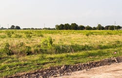 ELM BRANCH lot: 19, Elm Mott, TX 76640