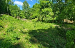 Tract 7 Sandy Valley Rd, Rogersville, TN 37857