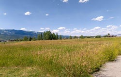LOT 83 LARIAT DRIVE, Etna, WY 83118