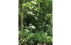 0 South South Fork Road, Stanton, KY 40380