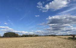 0 Whitehaven Rd, Tyaskin, MD 21865