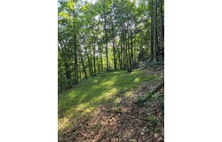 448 Candy Run Houston Hollow Rd., Lucasville, OH 45648
