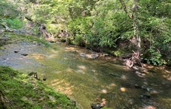 Lot 8 Old Birch Bend, Blairsville, GA 30512