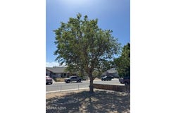 575 Yellow Jacket Road, Dayton, NV 89403