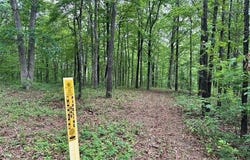 895 Ashwood Road Road, Clinton, AR 72031
