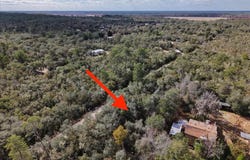 NE 233RD Lane, FORT MC COY, FL 32134