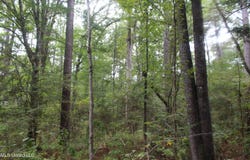 Fox Road, Gloster, MS 39638