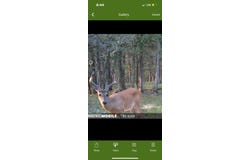 000 Sunny Slope Drive, Crane, MO 65633