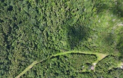 185 Chapman Drive, Flintstone, GA 30725
