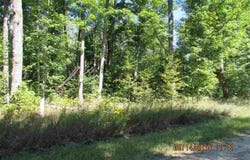 231 KLEEHAMMER CLUB DRIVE, KALKASKA, MI 49646