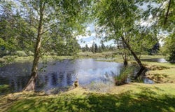 15712 Birch S, Long Beach, WA 98631