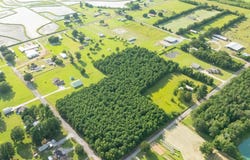 Tract D Birch Drive lot: 36,3, Iota, LA 70543
