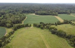 Buffalo Trail, Kirksville, MO 63501