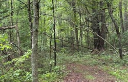 000 Beckley Rd., Camp Creek, WV 25820