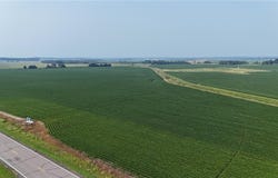 Tbd County 61, Browerville, MN 56438