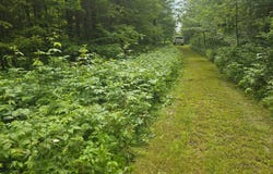 0WP Valley View Sbdvn, Smyrna, NY 13464