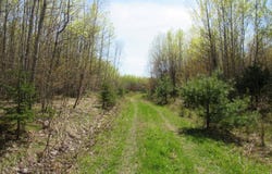 TBD  Rice Lake Road, Lake Linden, MI 49945