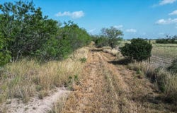 Fm 624, George West, TX 78022