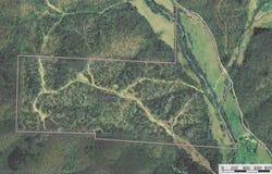 Shelton Road, Willow Springs, MO 65793