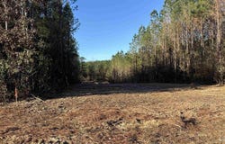 Straw Bridge Rd lot: 61, Jay, FL 32565