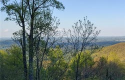 Lot 10 Park Vista Lane, Sparta, NC 28675